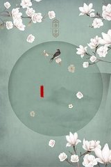 8050午夜二级一片介绍